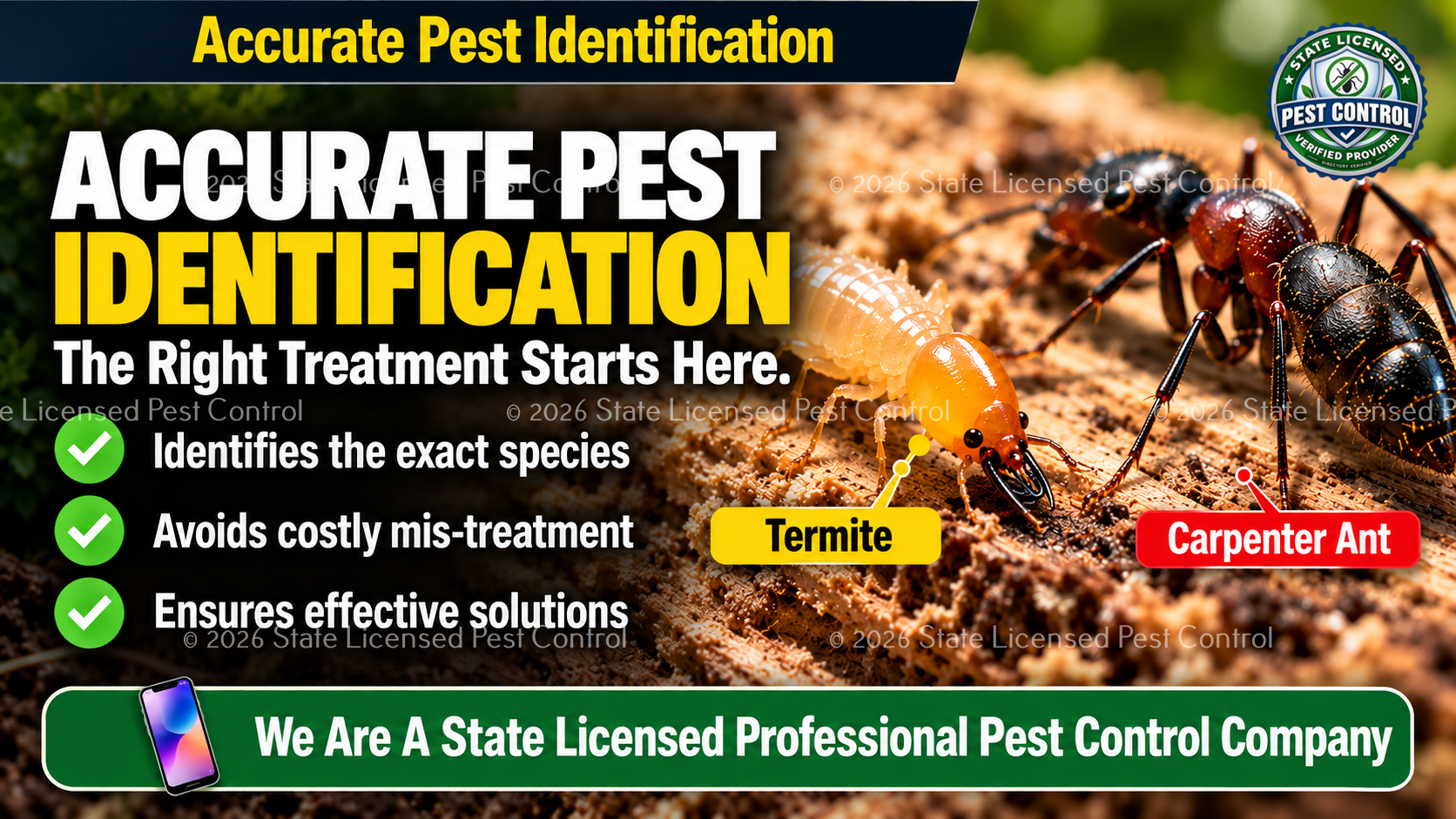 Accurate pest identification comparing termites and carpenter ants
